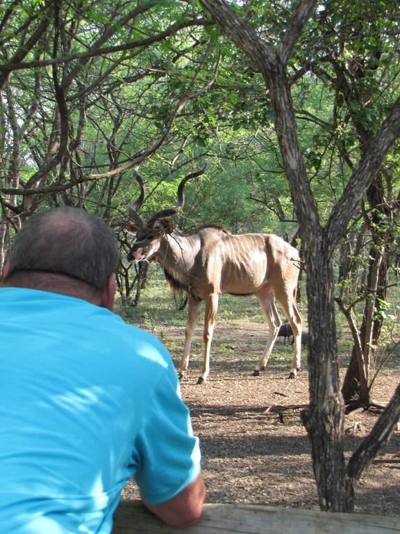Serenity Du Bois Lodge Marloth Park Exterior photo